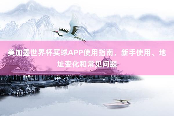 美加墨世界杯买球APP使用指南，新手使用、地址变化和常见问题
